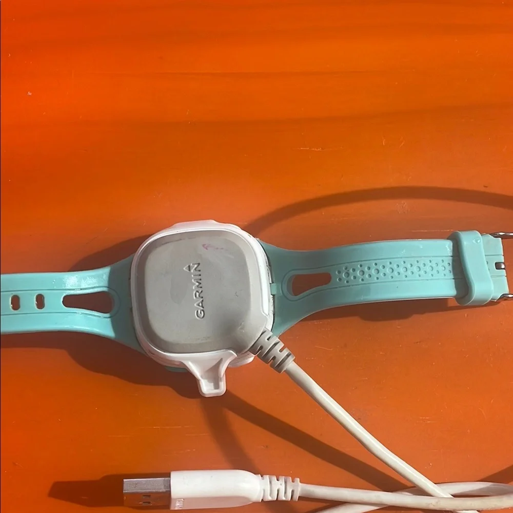 Garmin Blue Smartwatch Case for Wearables